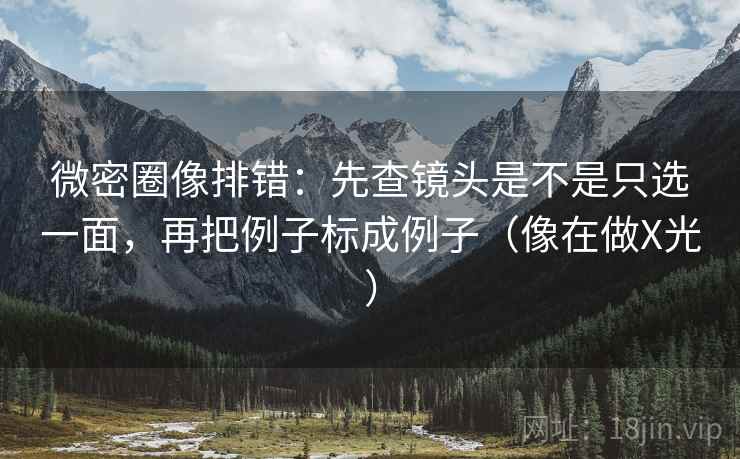 微密圈像排错:先查镜头是不是只选一面,再把例子标成例子(像在做X光) 微密圈像排错:先查镜头是不是只选一面,再把例子标成例子(像在做X光)